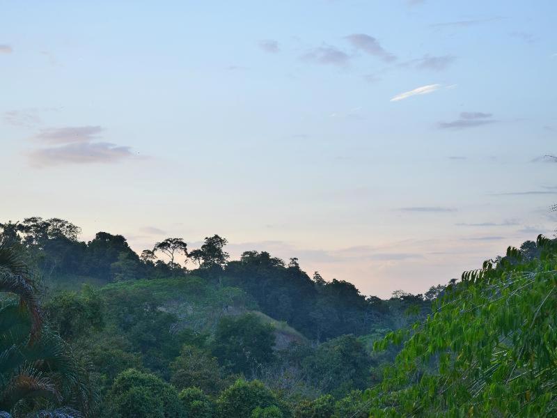Hotel Tres Banderas Manuel Antonio Pokoj fotografie